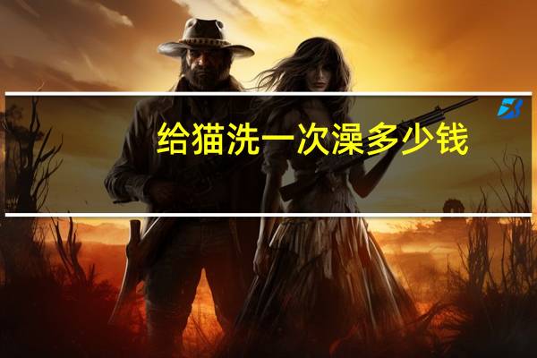 给猫洗一次澡多少钱