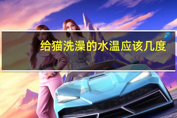 给猫洗澡的水温应该几度