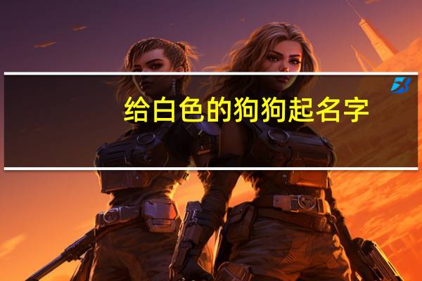 给白色的狗狗起名字