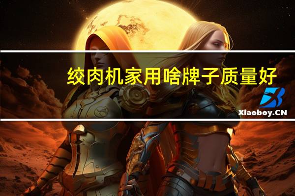绞肉机家用啥牌子质量好