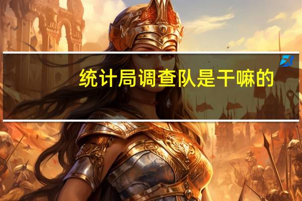 统计局调查队是干嘛的