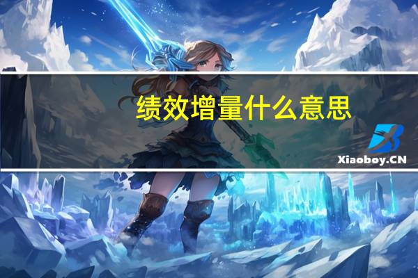 绩效增量什么意思