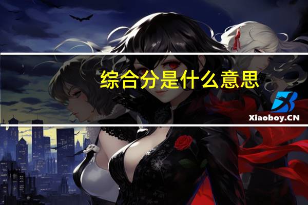 综合分是什么意思