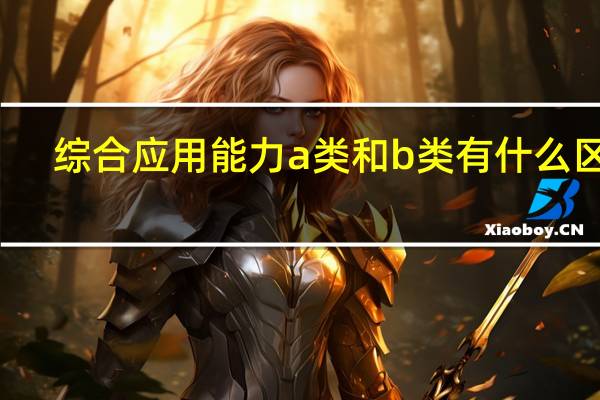 综合应用能力a类和b类有什么区别