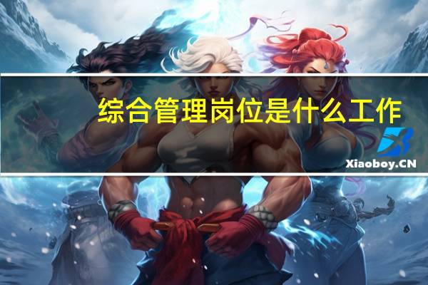 综合管理岗位是什么工作