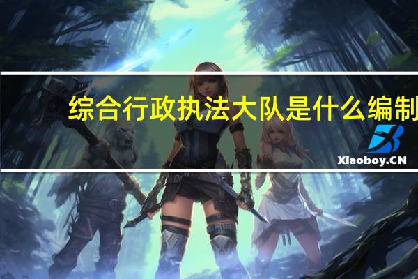 综合行政执法大队是什么编制