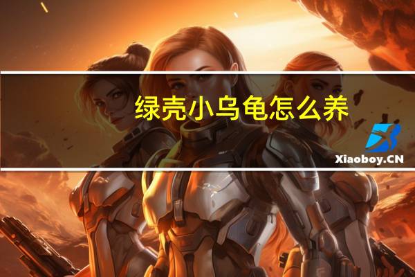 绿壳小乌龟怎么养