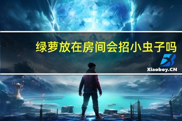 绿萝放在房间会招小虫子吗