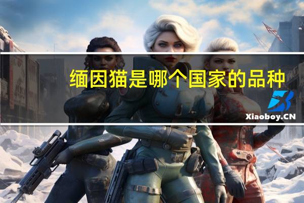 缅因猫是哪个国家的品种