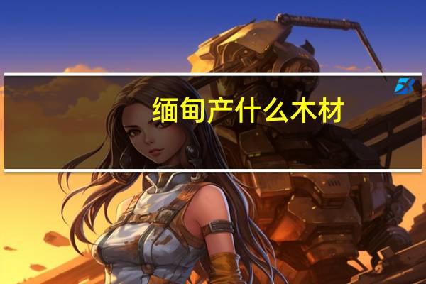 缅甸产什么木材