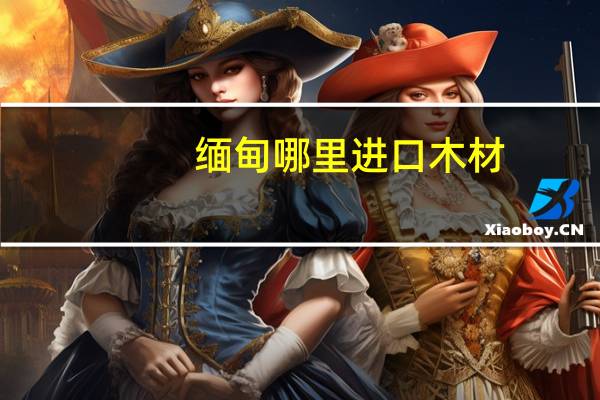 缅甸哪里进口木材