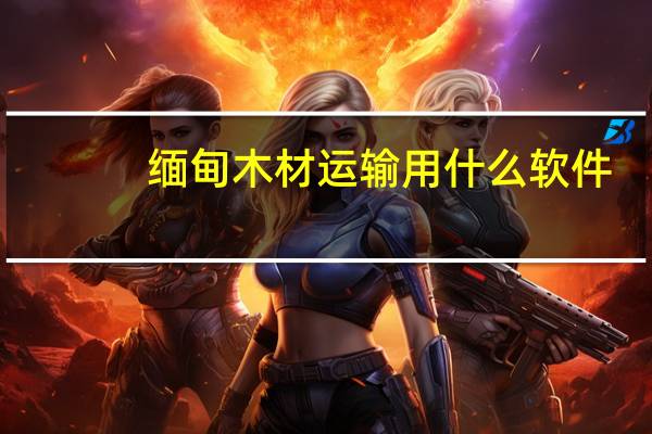 缅甸木材运输用什么软件
