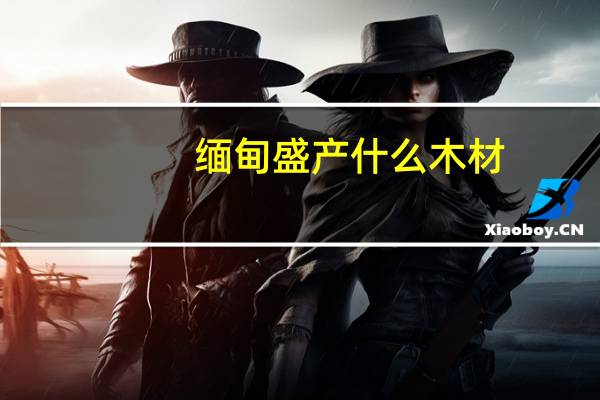 缅甸盛产什么木材