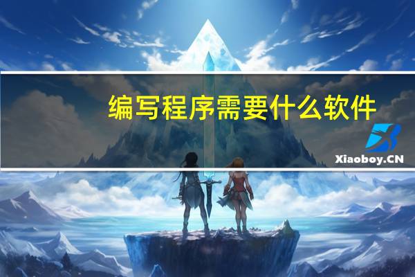 编写程序需要什么软件