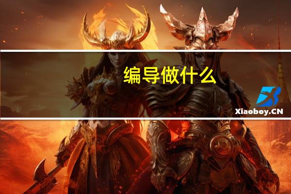 编导做什么