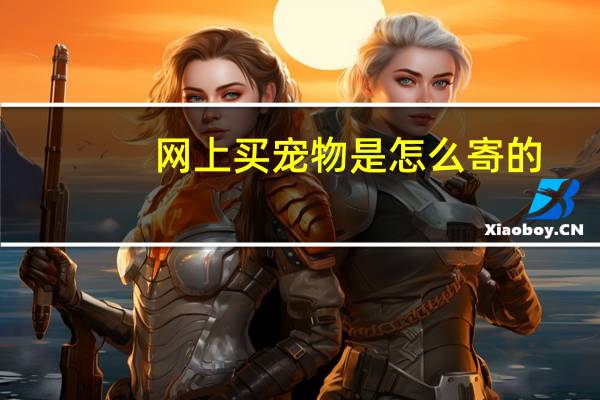 网上买宠物是怎么寄的