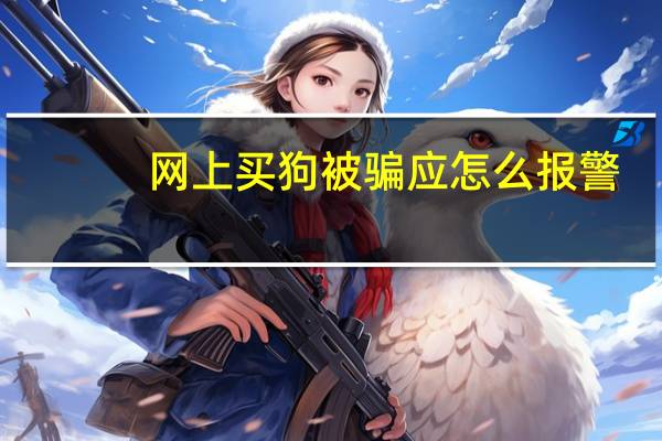 网上买狗被骗应怎么报警