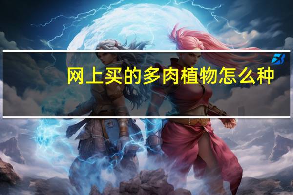 网上买的多肉植物怎么种