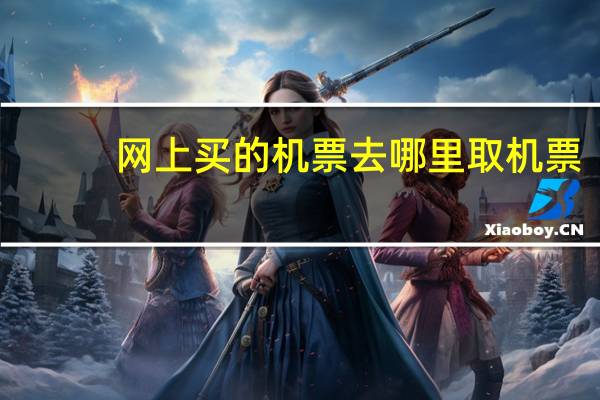 网上买的机票去哪里取机票