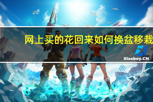 网上买的花回来如何换盆移栽