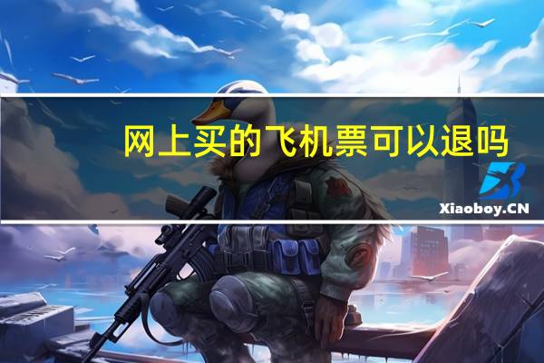 网上买的飞机票可以退吗