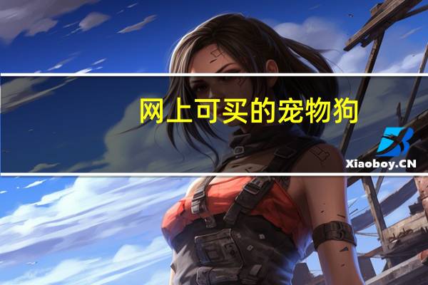 网上可买的宠物狗