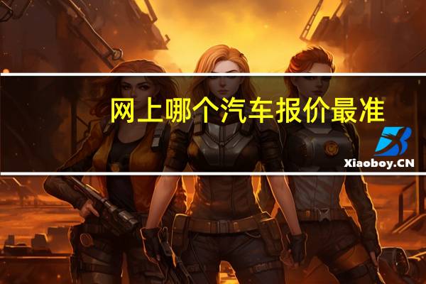 网上哪个汽车报价最准