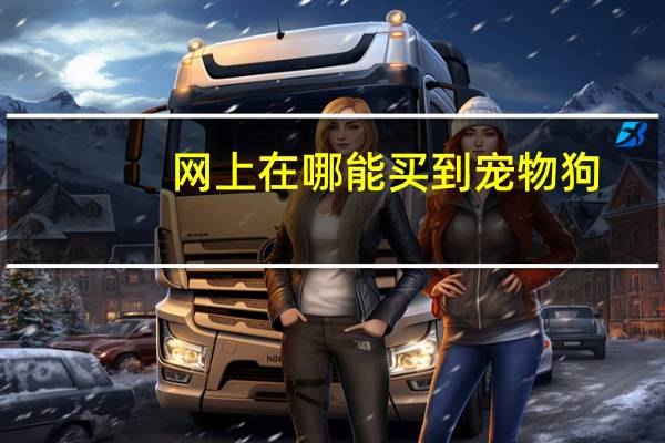 网上在哪能买到宠物狗