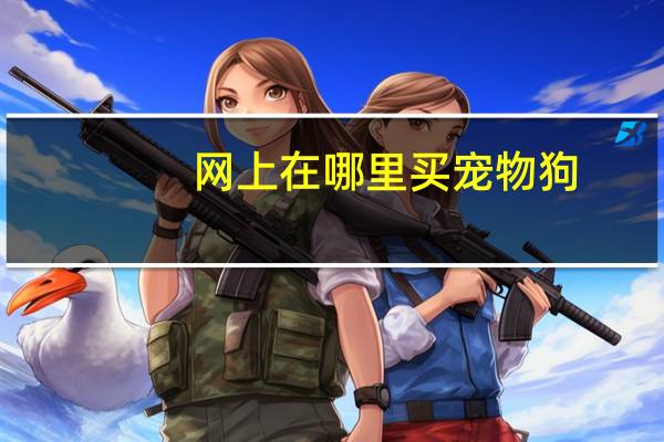 网上在哪里买宠物狗