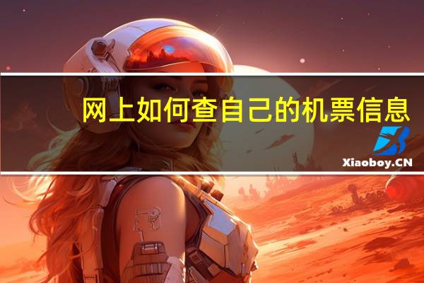 网上如何查自己的机票信息