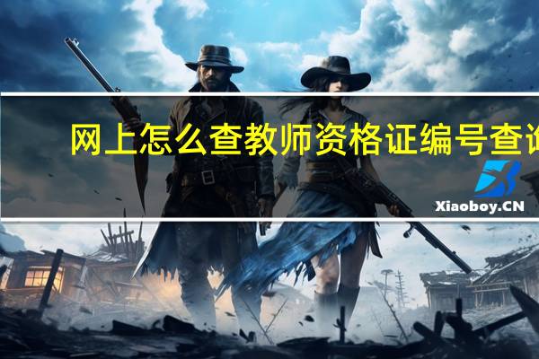 网上怎么查教师资格证编号查询