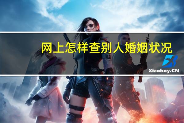 网上怎样查别人婚姻状况