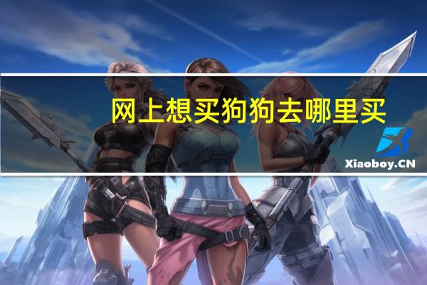 网上想买狗狗去哪里买