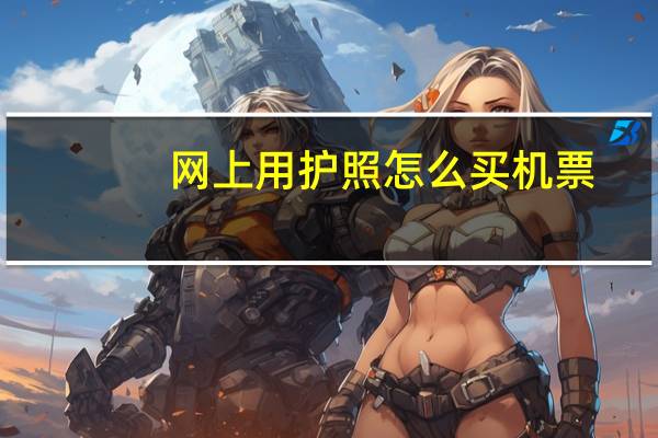 网上用护照怎么买机票
