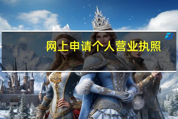 网上申请个人营业执照