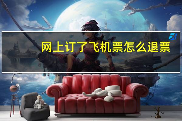 网上订了飞机票怎么退票
