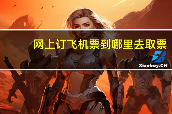 网上订飞机票到哪里去取票