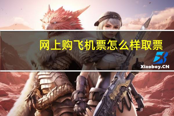 网上购飞机票怎么样取票