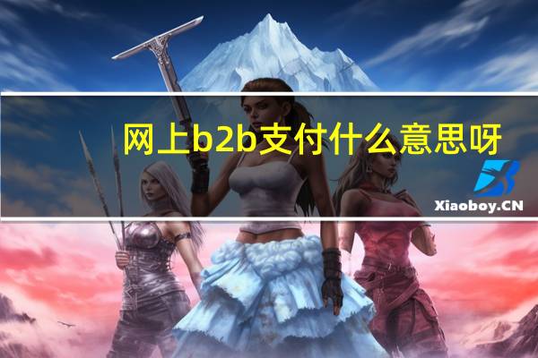 网上b2b支付什么意思呀