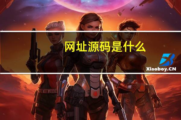 网址源码是什么