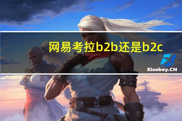 网易考拉b2b还是b2c