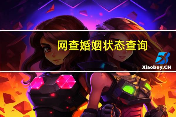 网查婚姻状态查询