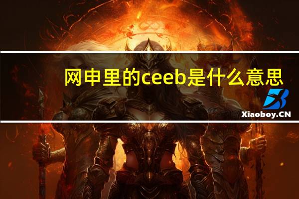 网申里的ceeb是什么意思