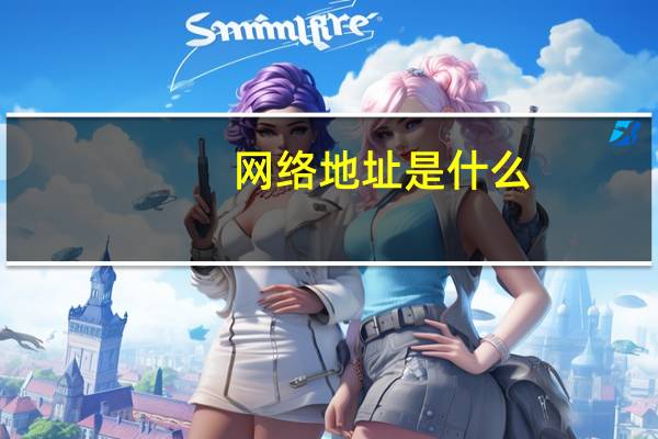 网络地址是什么