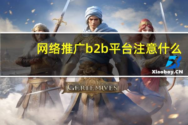 网络推广b2b平台注意什么