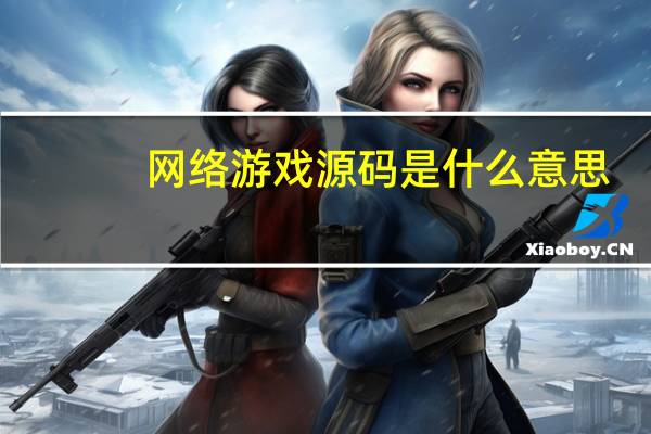 网络游戏源码是什么意思