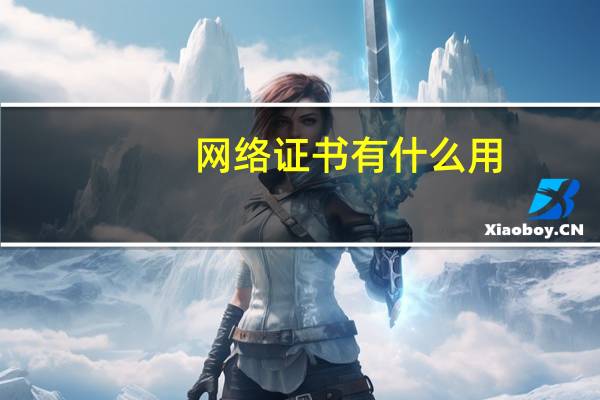 网络证书有什么用