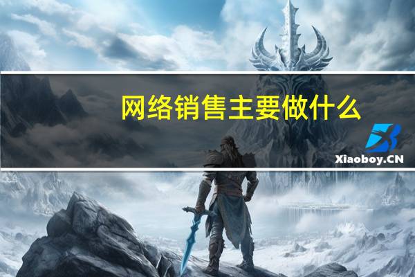 网络销售主要做什么