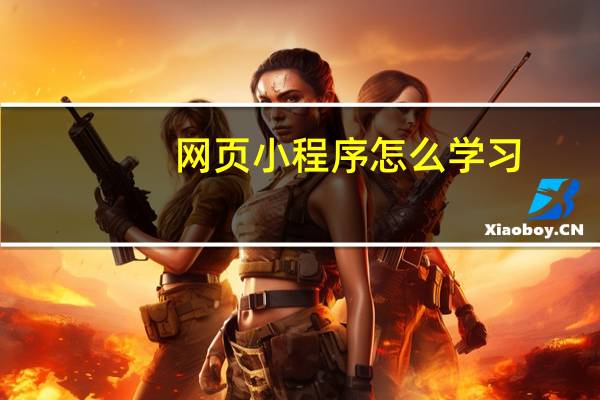 网页小程序怎么学习