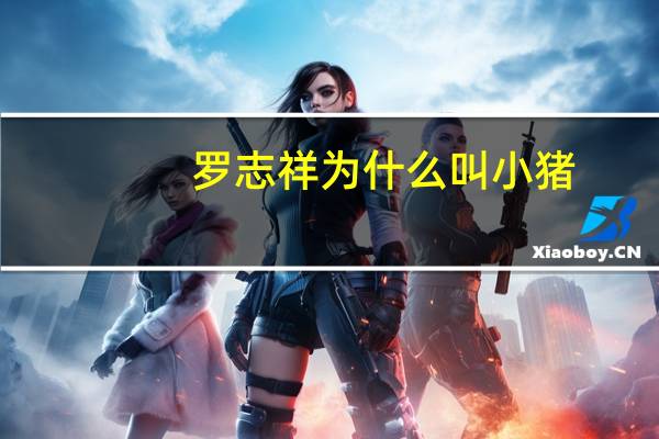 罗志祥为什么叫小猪